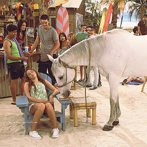 Special pics HM (46)