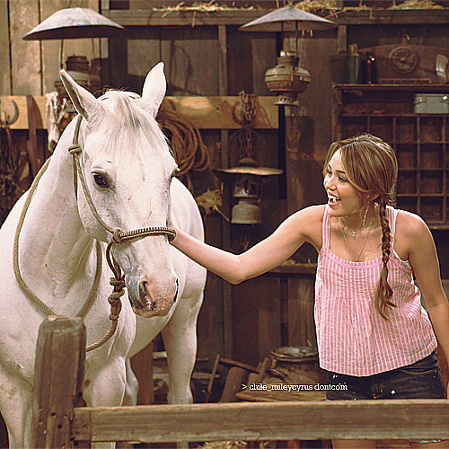 Special pics HM (47) - 0x - Special pics HM