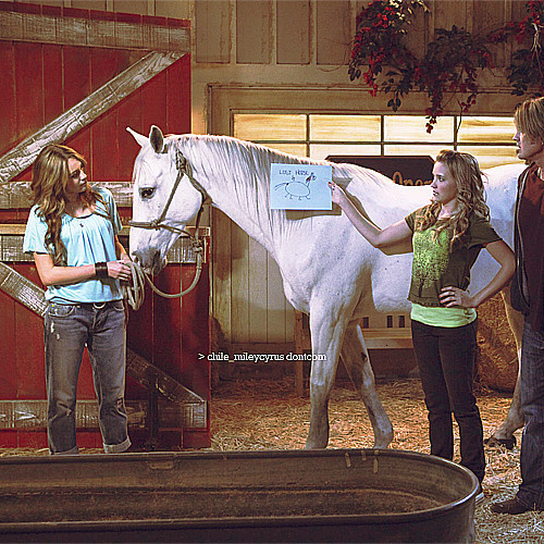 Special pics HM (48) - 0x - Special pics HM