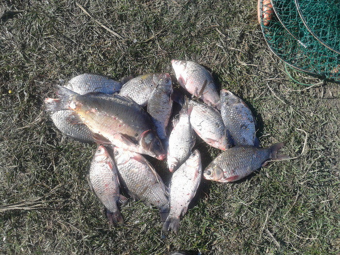 Fotografie-0040 - zz - fishing - colectia de monstri