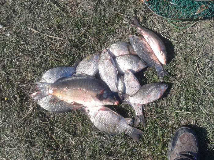 Fotografie-0039 - zz - fishing - colectia de monstri