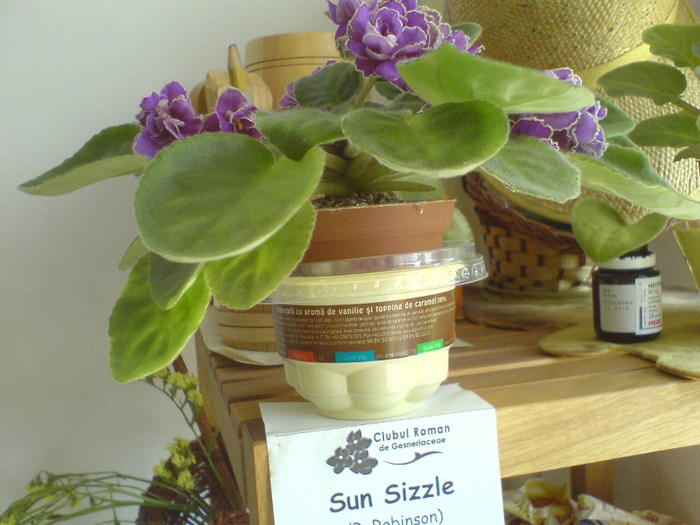 Sun Sizzle_iul2012; dupa ce am luat-o de la expo iul 2012
