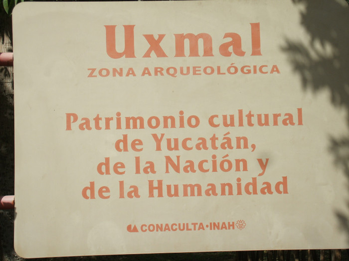 DSCF4115 - 2011 MEXIC