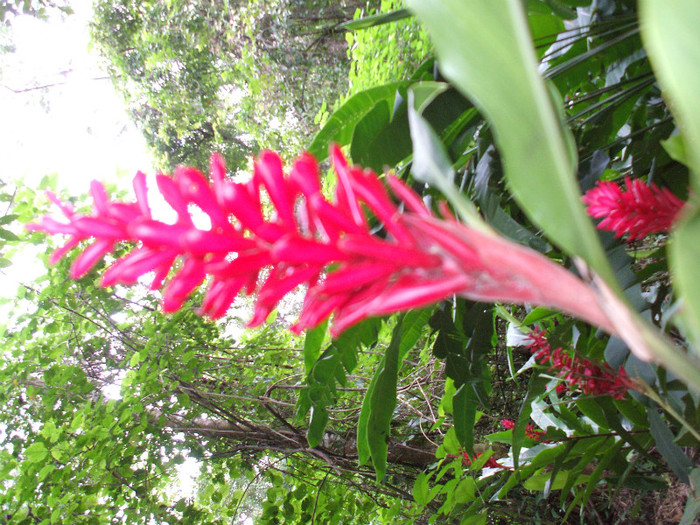 DSCF4055 - 2011 MEXIC