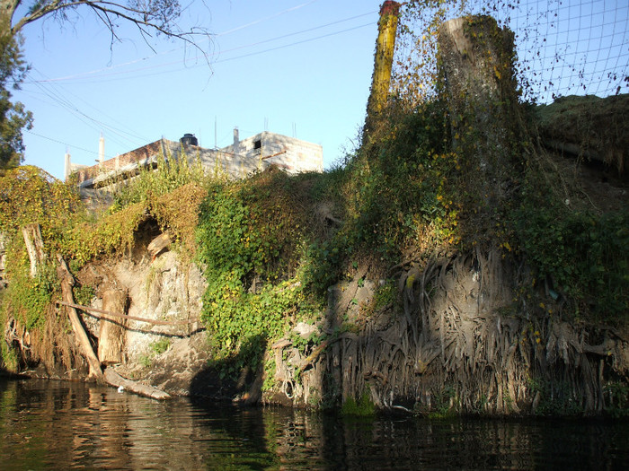 DSCF3398 - 2011 MEXIC