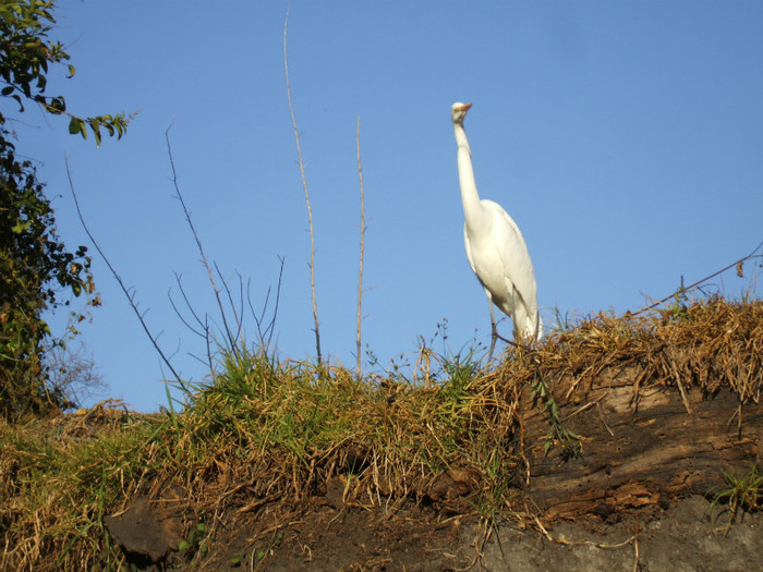 DSCF3399 - 2011 MEXIC