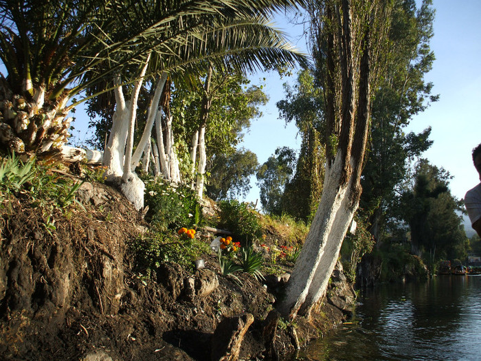 DSCF3400 - 2011 MEXIC