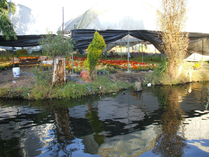 DSCF3409 - 2011 MEXIC