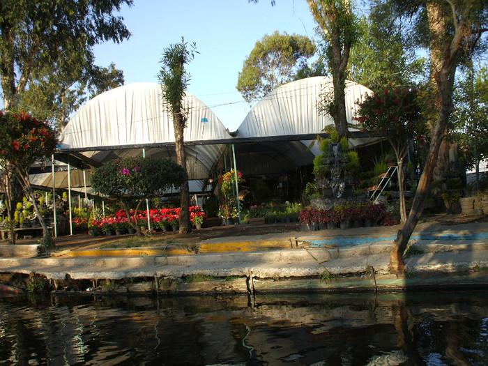 DSCF3410 - 2011 MEXIC