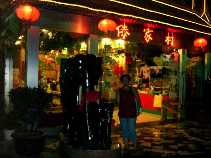 elefanti - 2006 CHINA