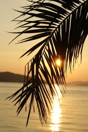 DSC04661 - 2008 CROATIA