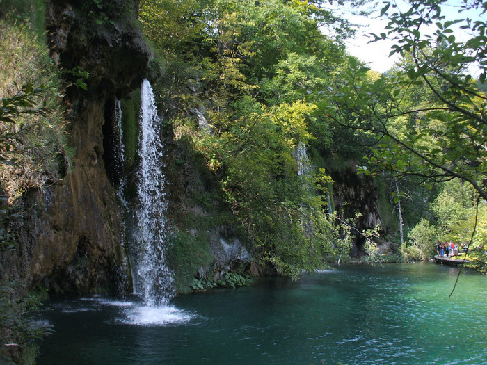 DSCF9705