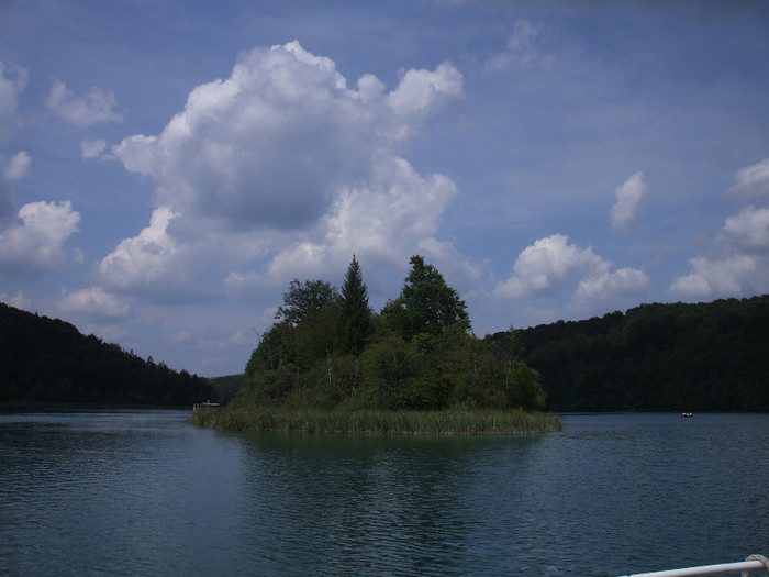 DSCF9711