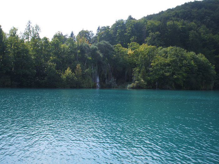 DSCF9712