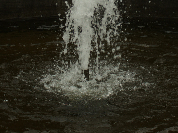 DSCF4492