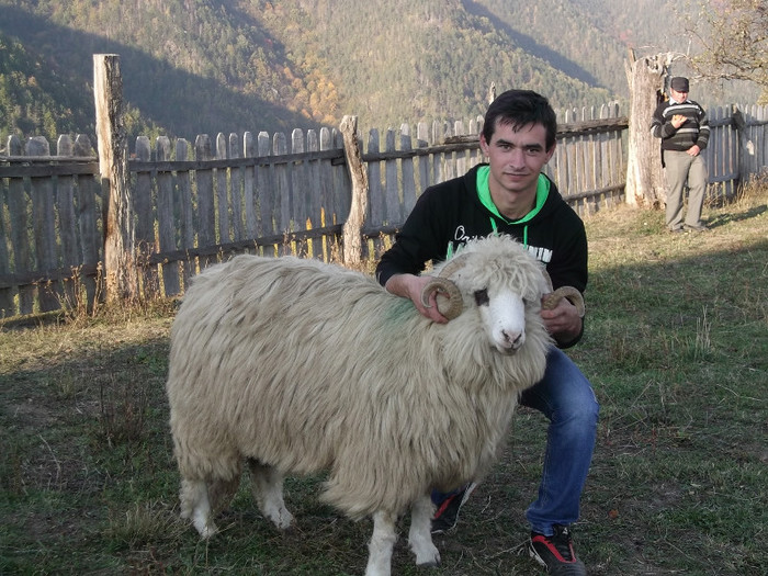 de la poza aceasta incolo nu mai este targul. e acasa la cineva.