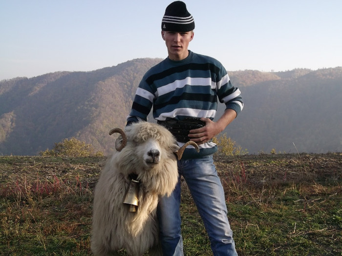 frumos dar e batal. - 0   TARG  2012