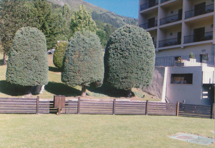 toaletati din foarfeca