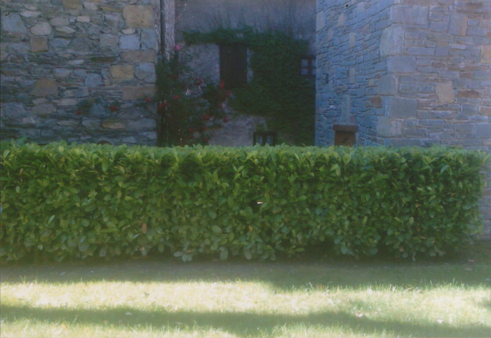 gard din laudrus-am de vanzare