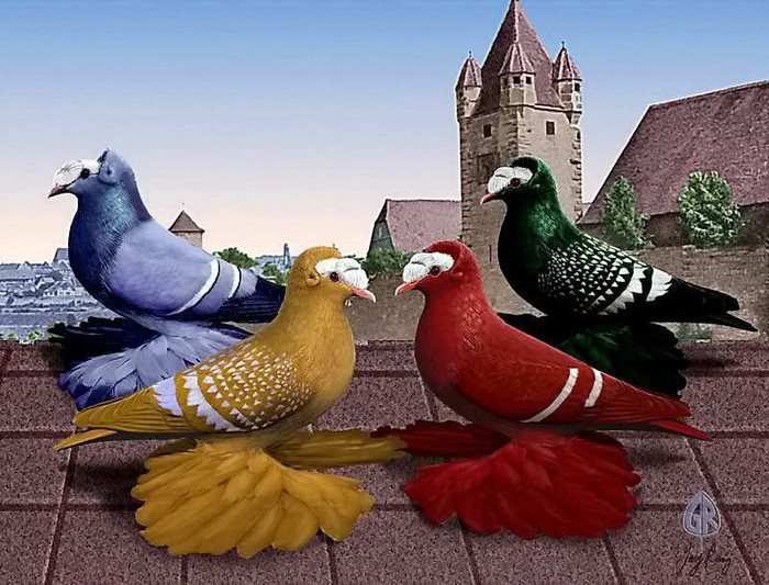 557758_10151229539814311_1819358398_n