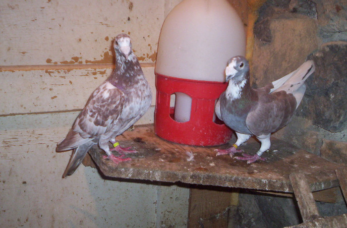 100_2470 , M de 2011 si F de 2011