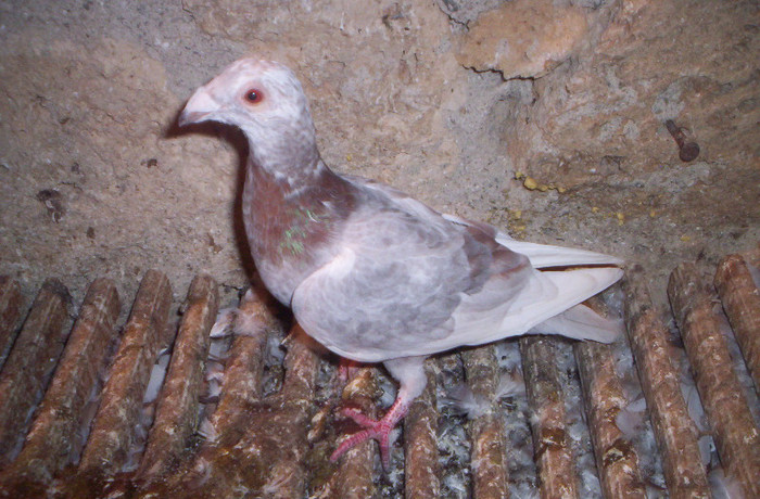 100_2503 ,M de 4 luni