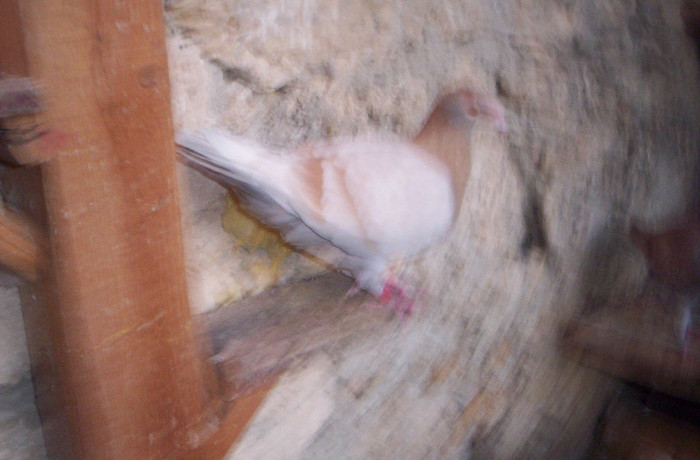 100_2414 , F de 2012