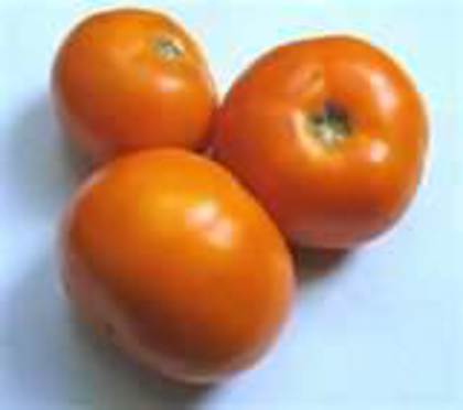 TANGERINE; TANGERINE tomate speciale deoarece,conform unor studii americane,contin de 2.5 ori mai mult lycopen decat rosiile obisnuite si de 200 de ori mai repede absorbabil de catre organism.Din lycopenul acest
