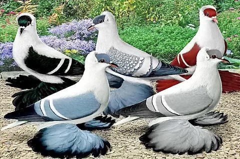 269994_10151231834149311_984348652_n