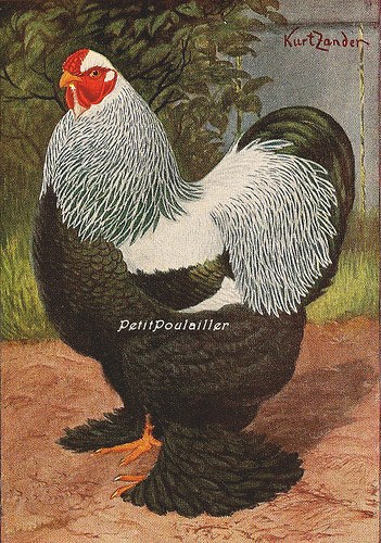 4303610502_8b53ab83ea