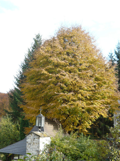 P1050304