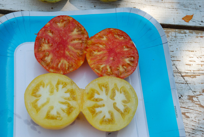 Beauty King si Tomate Albe - TOMATE  SPECIALE-special tomatoes - 2012