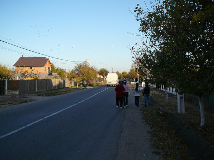 P1440566