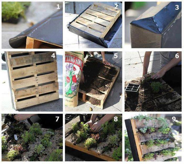 185000_451770278207336_1546094112_n