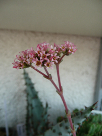 P1080661