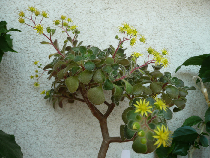 P1080890