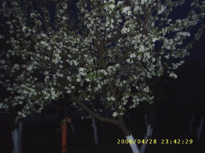 Parca as fi nins!!!!