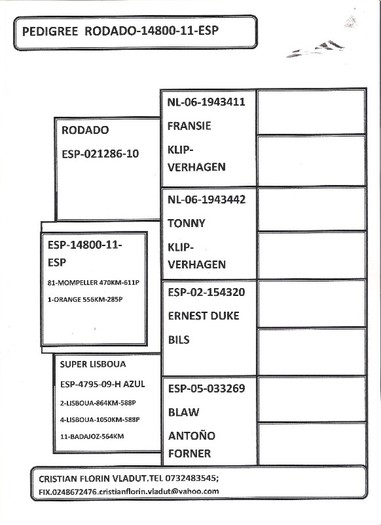 pedigree 14800-11 001