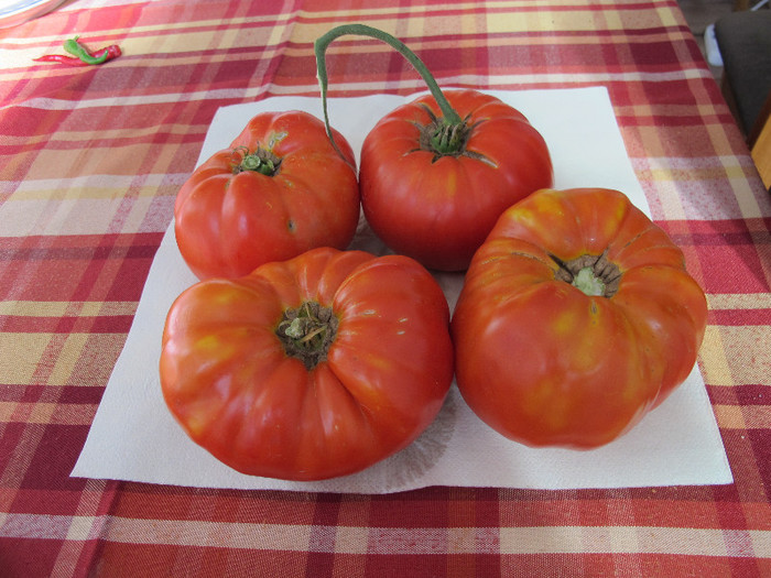 Romania 2012 1036,DELICIOUS; DELICIOUS isi merita numele;cele 4 rosii au cantarit peste 3 kg si au fost culese de la o singura planta.
