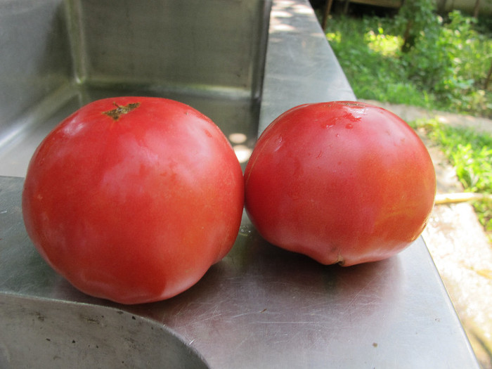 Romania 2012 338,Beefsteak - TOMATE ROSII si ROZ-2012