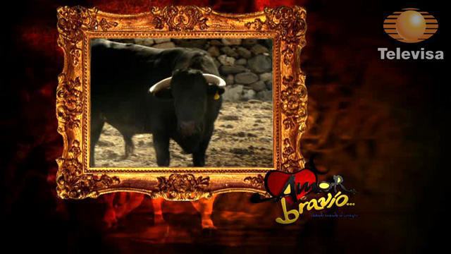 12 - Dragoste si lupta