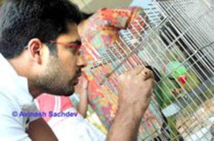 60462661_ODIOHYR3 - 17-Avinash si Ruby poze noii