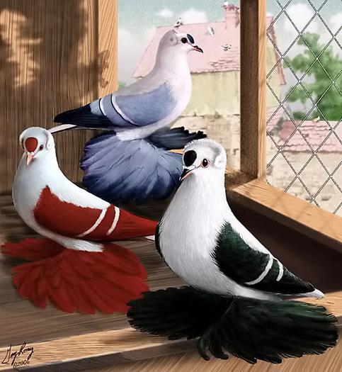 36589_10151233628179311_753420689_n