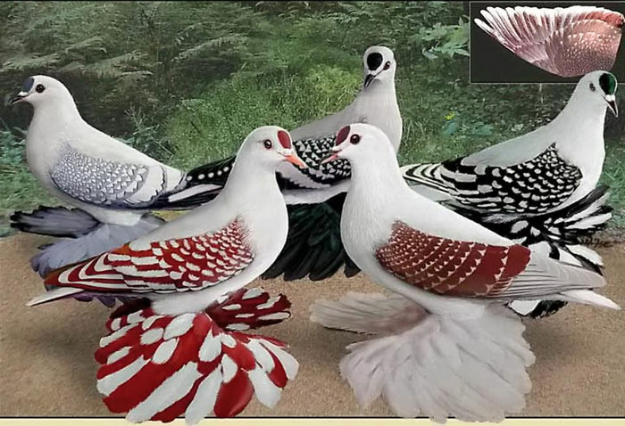 249223_10151232751354311_1858855805_n