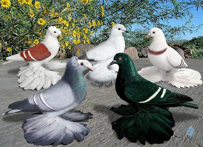 561821_10151234036139311_894210047_n