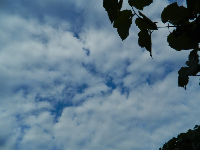 DSCN9334 - 2 OCTOMBRIE 2012