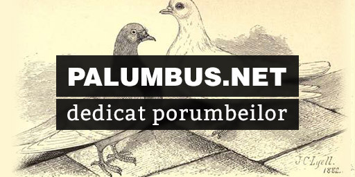 http://palumbus.net/ - Contact