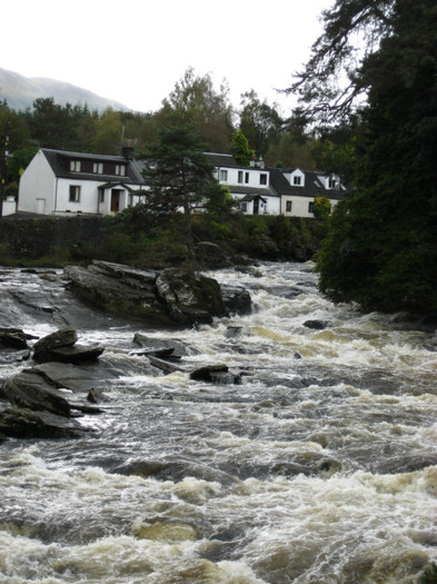 IMG_0474 - scotia