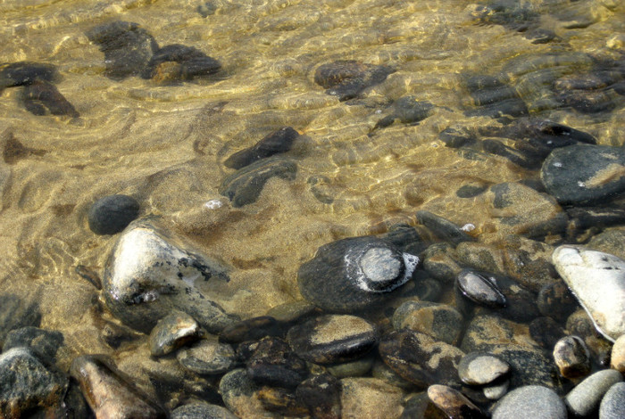 When the river meets the sea
