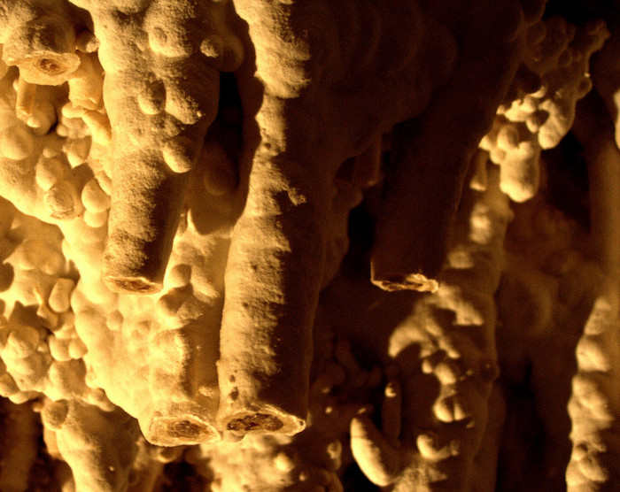 cave5 - pestera stalactitelor in Israel